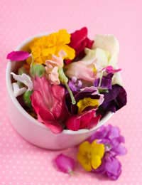 Edible Flowers Diet Food Rose Nasturtium