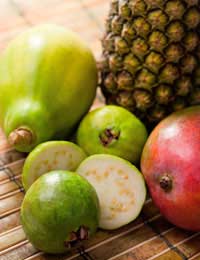 Tropical Fruits Pineapple Noni Fruit