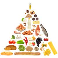 Nutrition Nutrient Fat Carbohydrates
