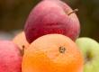 Beating Free Radicals With Apples and Oranges
