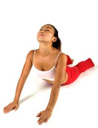 Spine Posture Flexible Healthy Bend
