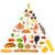 How Much Do You Know About Basic Nutrition?